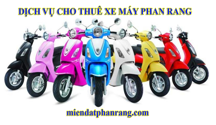 Cho thuê xe máy ở phan rang ninh thuận